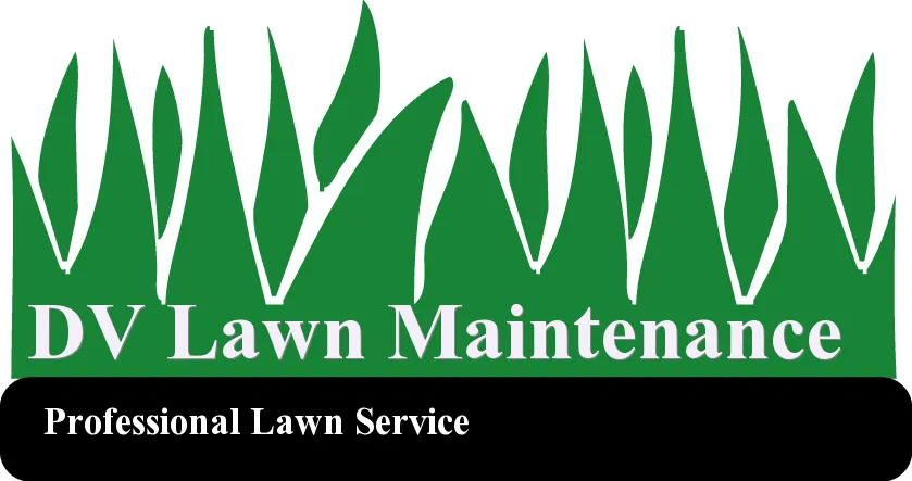 Professional landscaping services experts serving Baldwinsville, NY - DV Lawn Maintenance