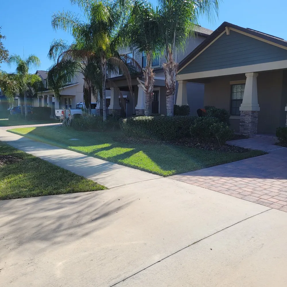 Local residential landscaping in Valrico, FL - D&V Lawn Services And More