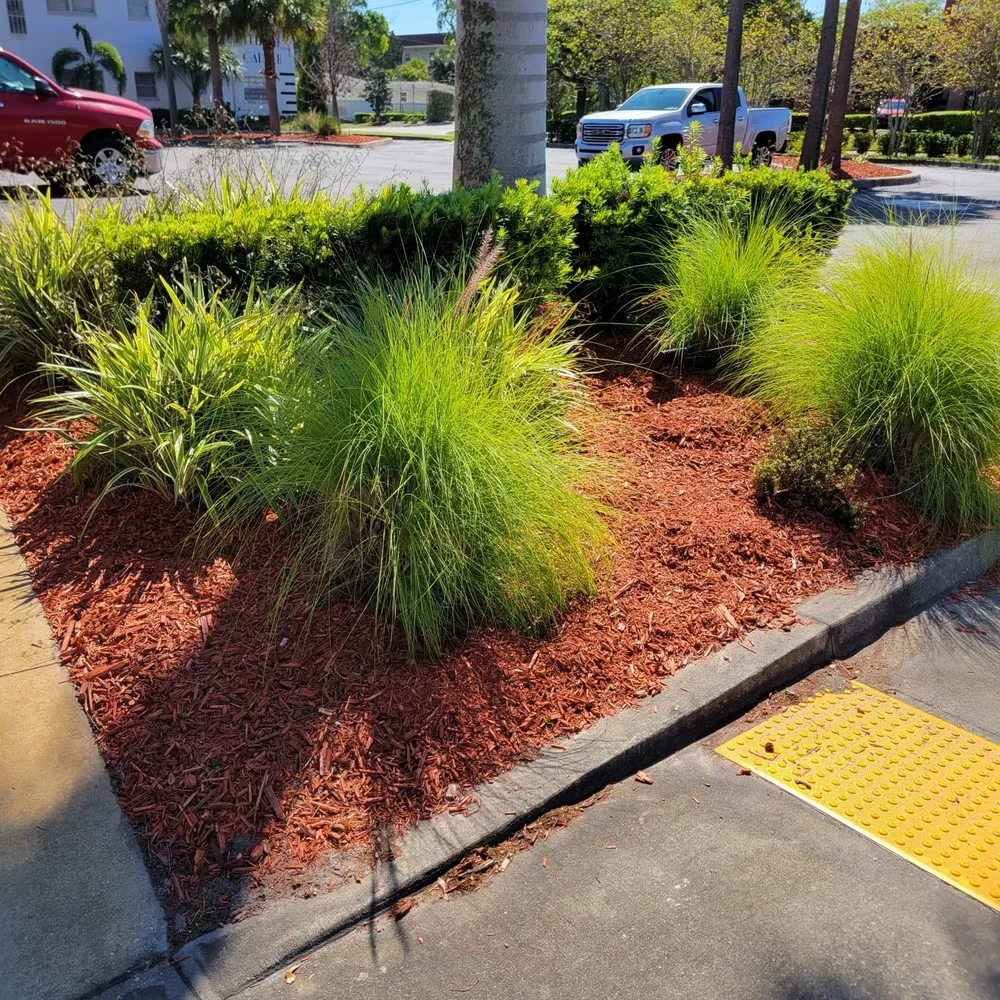 Top-rated residential landscaping near you in Valrico, FL by D&V Lawn Services And More