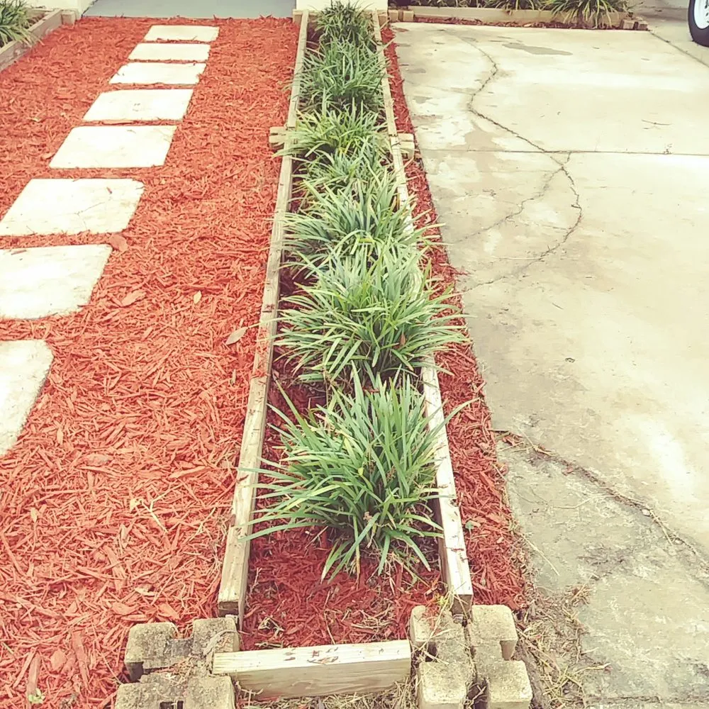 Expert lawn care service in Valrico, FL by D&V Lawn Services And More