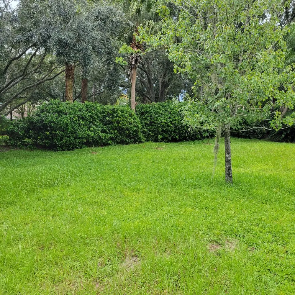 Local residential landscaping for beautiful yards across Valrico, FL - D&V Lawn Services And More