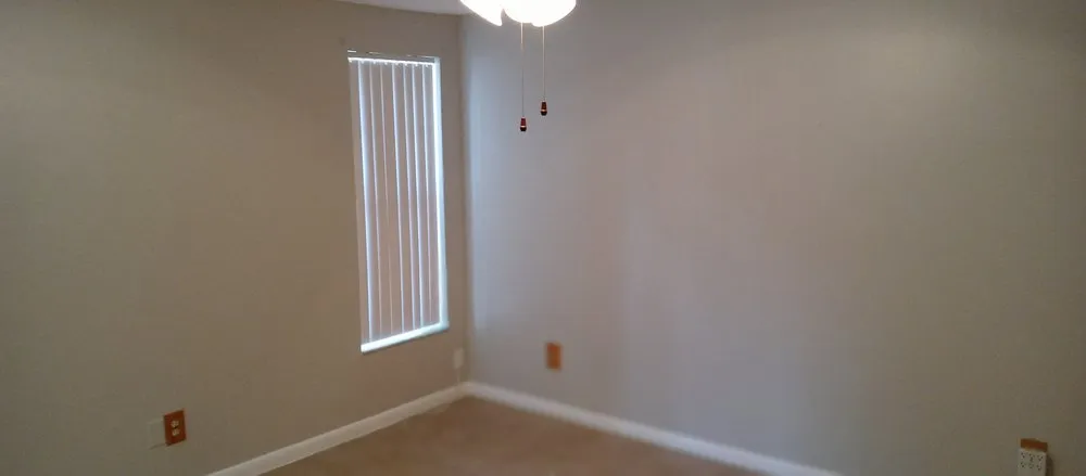 Trusted yard cleanup service in Valrico, FL by D&V Lawn Services And More