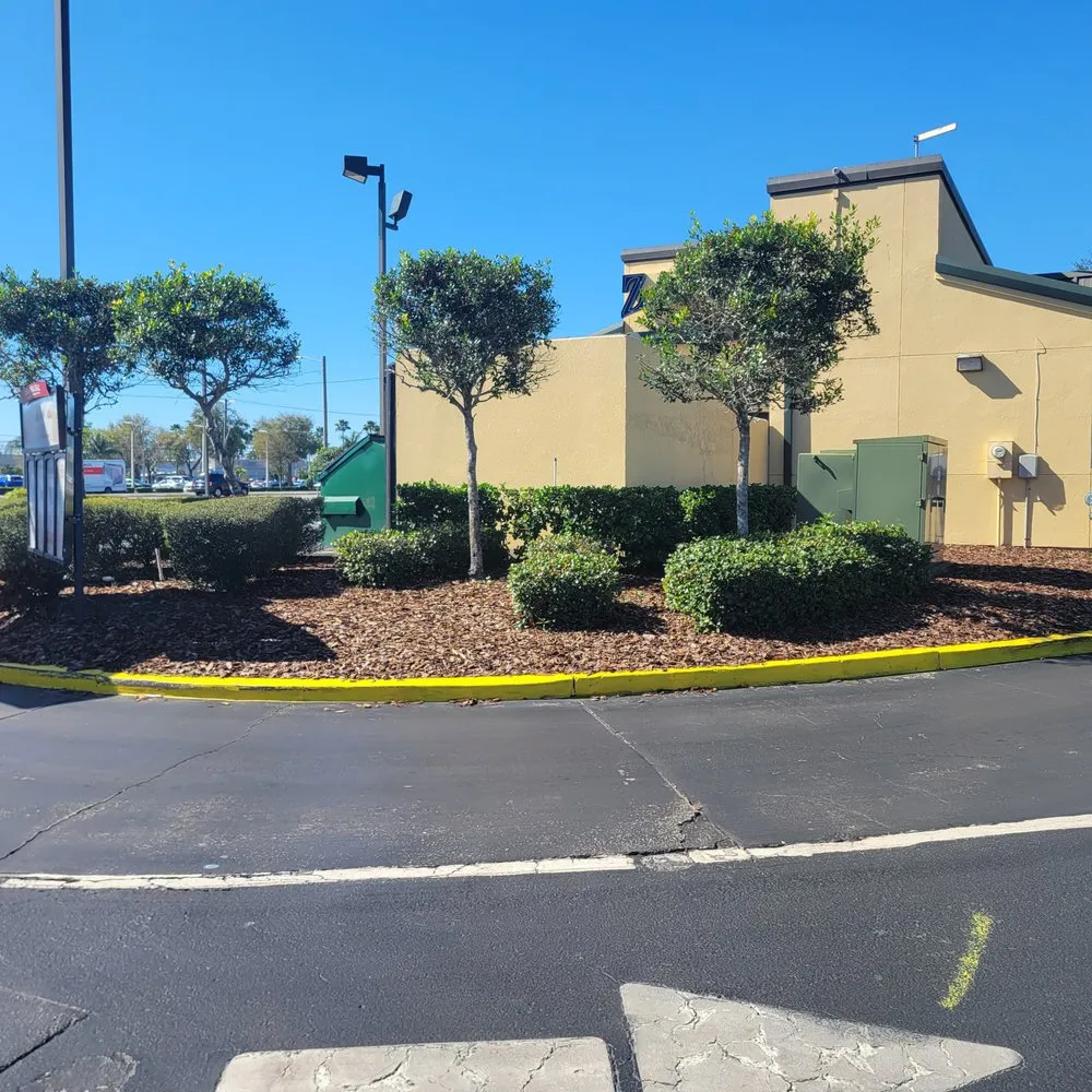 Top-rated outdoor landscaping in Valrico, FL - D&V Lawn Services And More