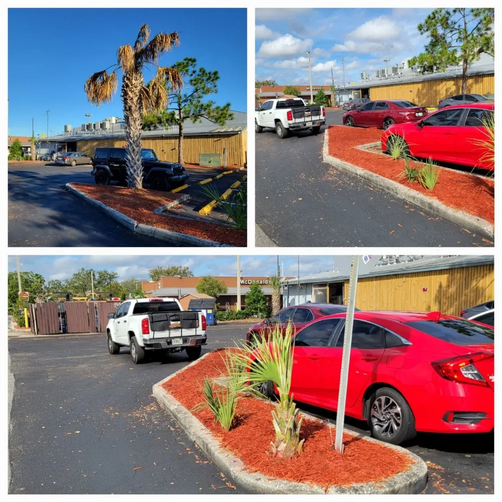 Local lawn mowing service for beautiful yards across Valrico, FL - D&V Lawn Services And More