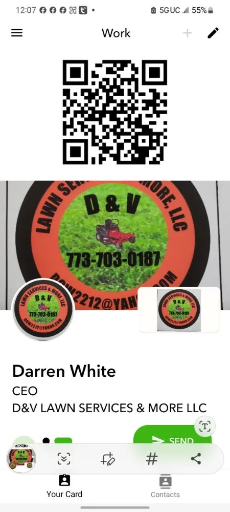 Professional yard cleanup service experts serving Valrico, FL - D&V Lawn Services And More