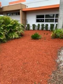 Top-rated landscape design in Valrico, FL by D&V Lawn Services And More