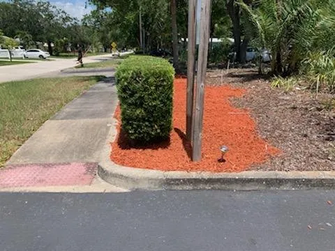 Reliable landscape installation with custom design in Valrico, FL by D&V Lawn Services And More