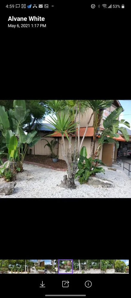 Reliable yard cleanup service in Valrico, FL - D&V Lawn Services And More