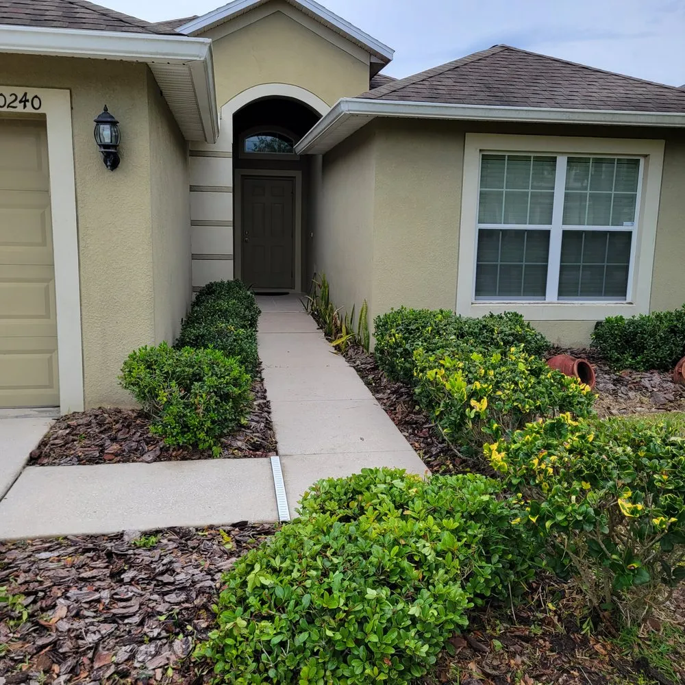 Expert landscape design experts serving Valrico, FL - D&V Lawn Services And More