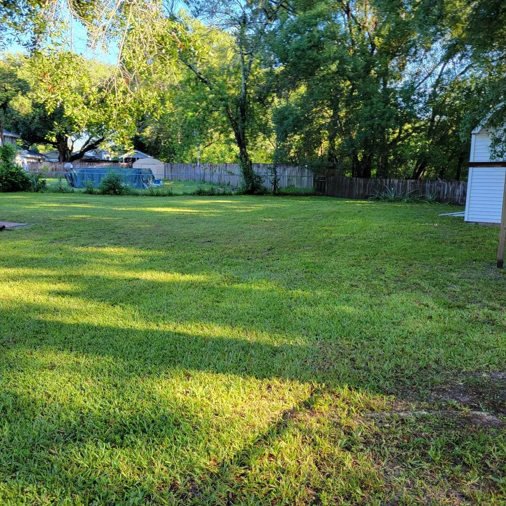 Affordable lawn care service in Valrico, FL - D&V Lawn Services And More