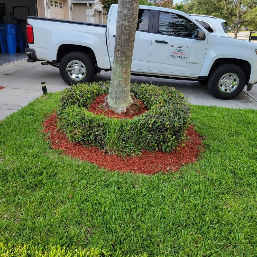 Affordable yard maintenance in Valrico, FL - D&V Lawn Services And More