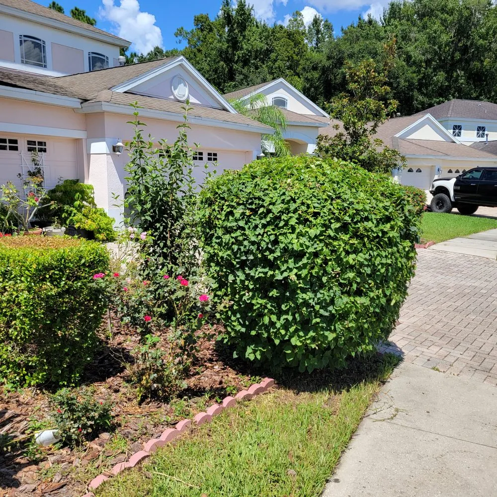 Expert residential landscaping near you across Valrico, FL - D&V Lawn Services And More