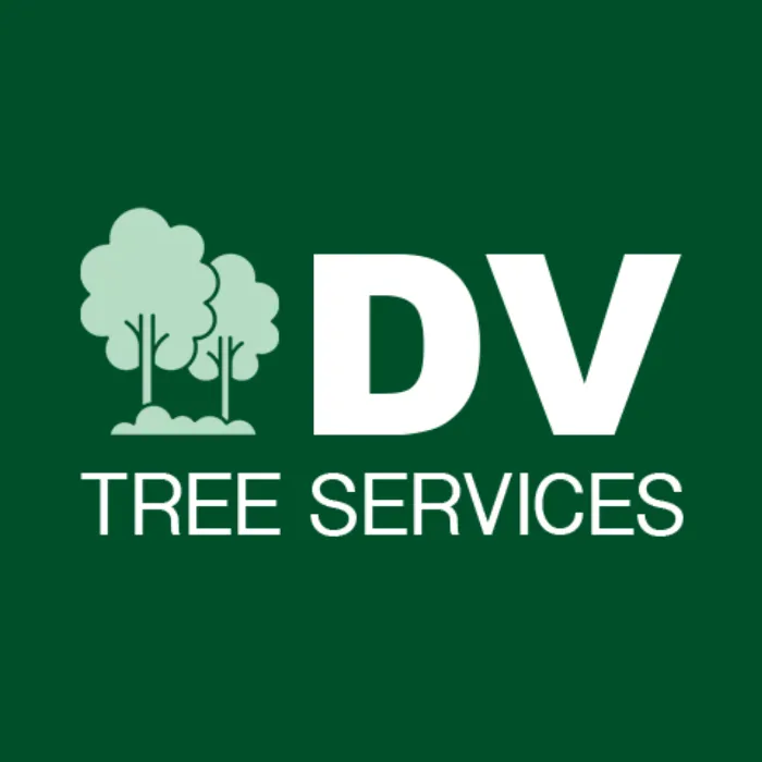 Professional outdoor landscaping in Crestview, FL - DV Tree Services