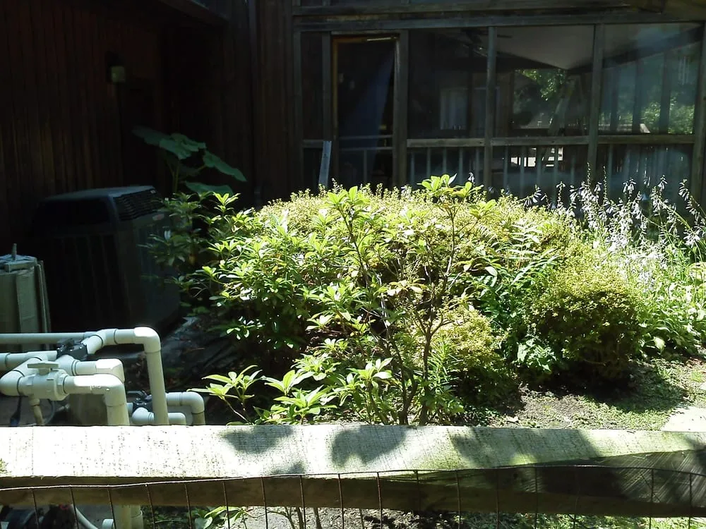 Reliable yard maintenance with custom design in Westminster, MD by Dvc Hauling and Landscaping