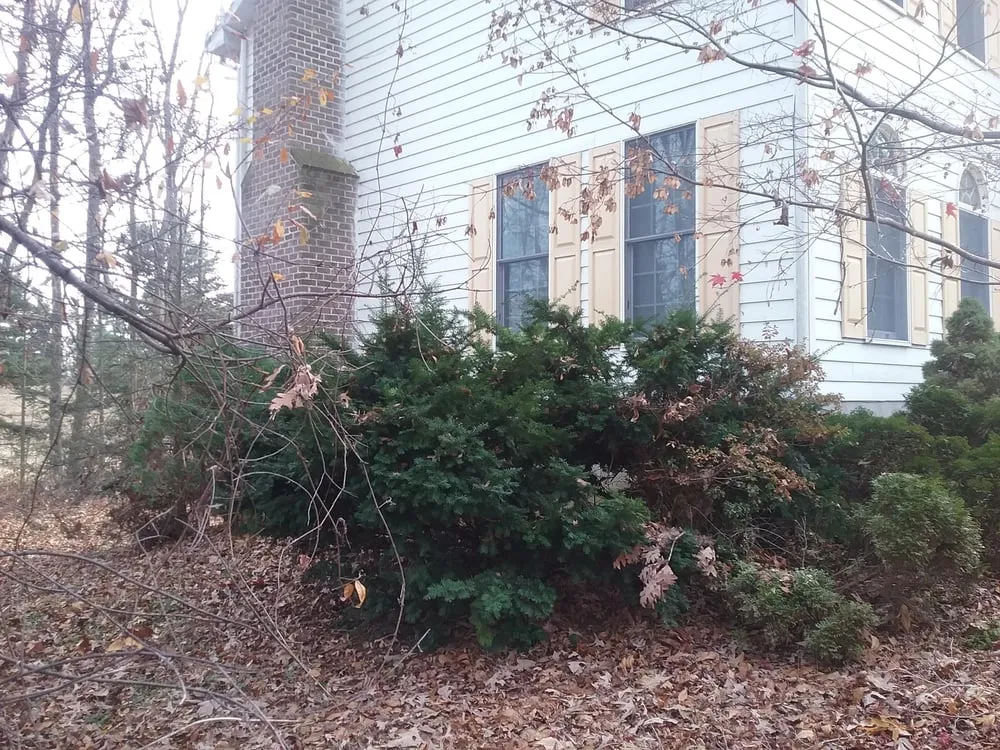 Trusted landscaping services in Westminster, MD by Dvc Hauling and Landscaping