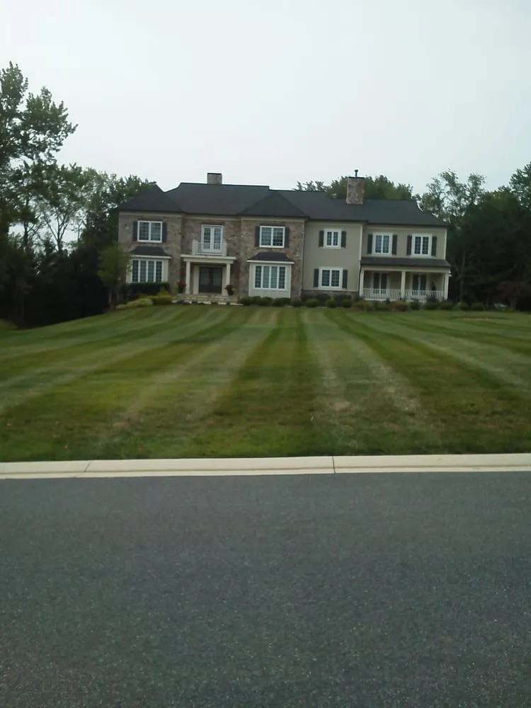 Reliable lawn care service in Westminster, MD by Dvc Hauling and Landscaping