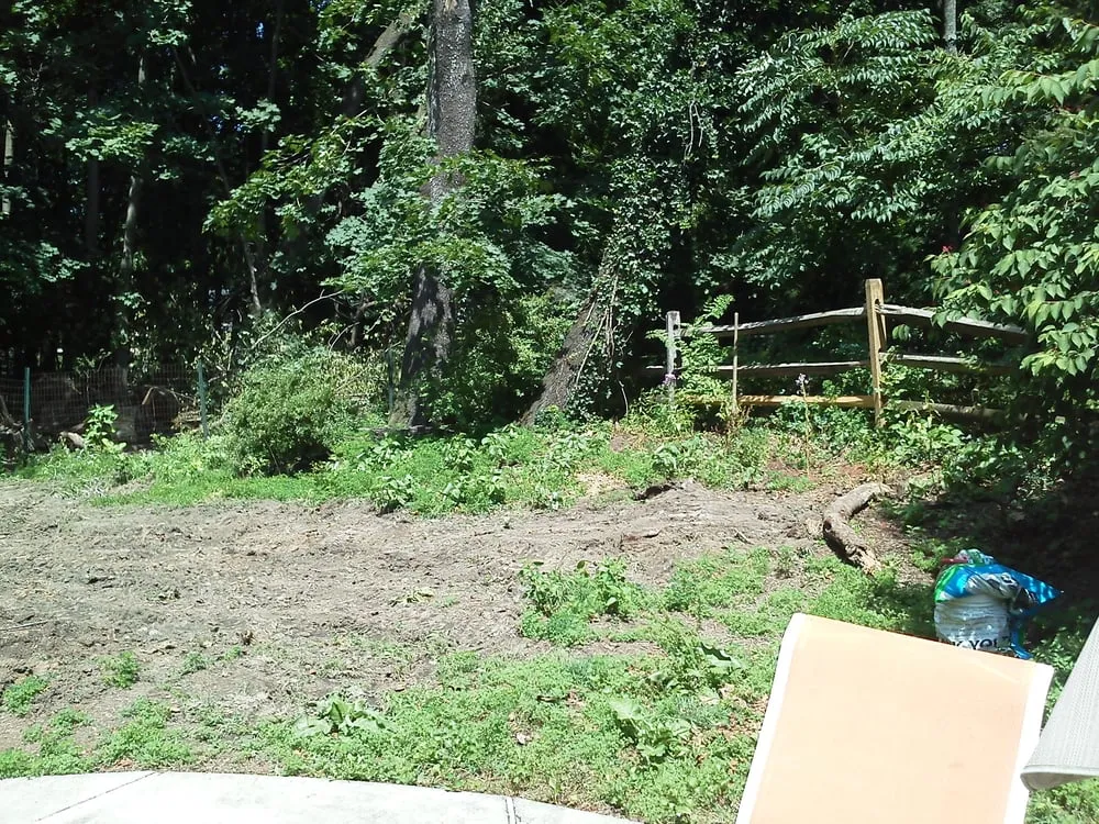 Professional outdoor landscaping in Westminster, MD - Dvc Hauling and Landscaping