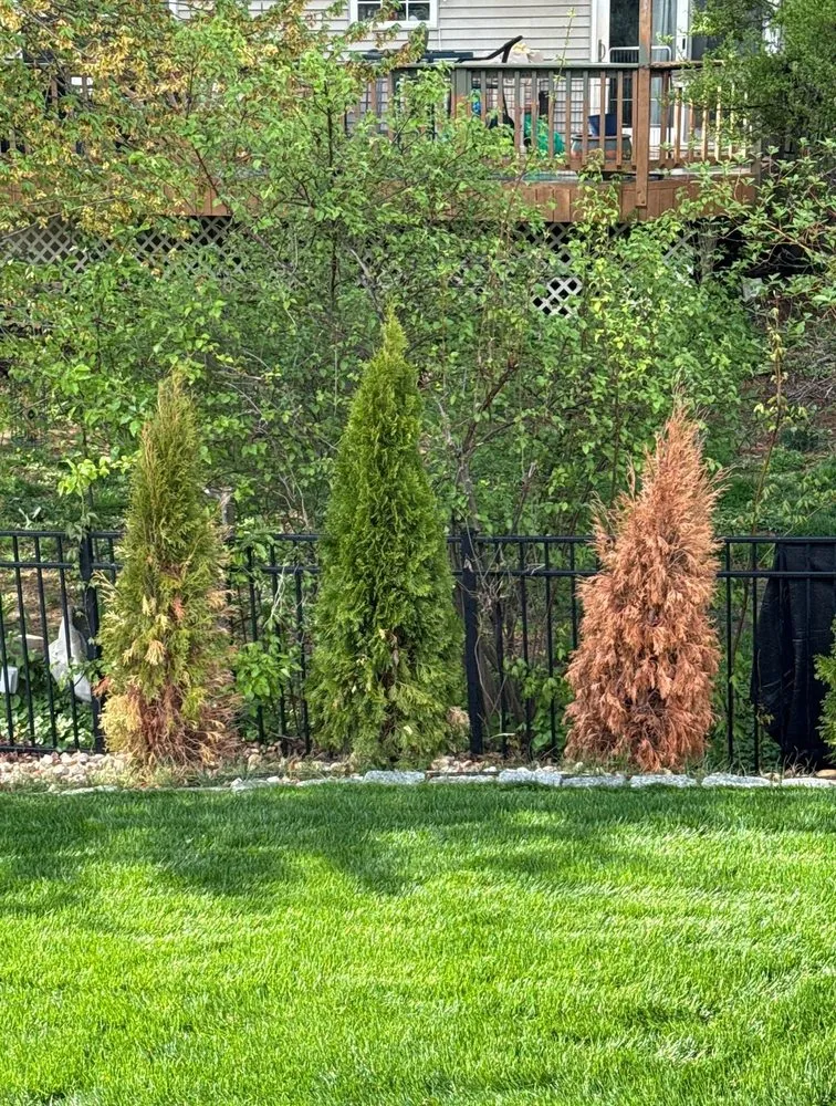 Local landscape installation in Bethlehem, PA by DVC Landscaping