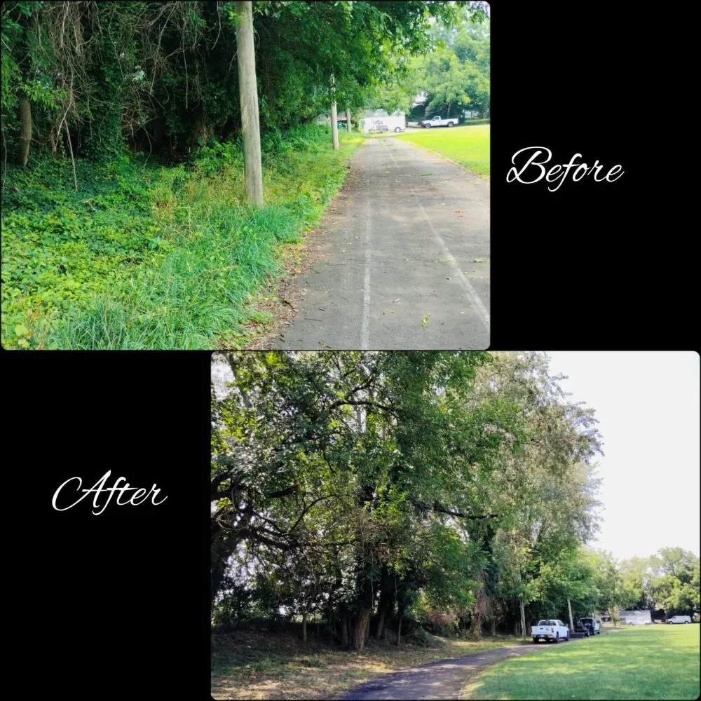 Custom outdoor landscaping for beautiful yards in Chester, PA by Dvel Landscaping