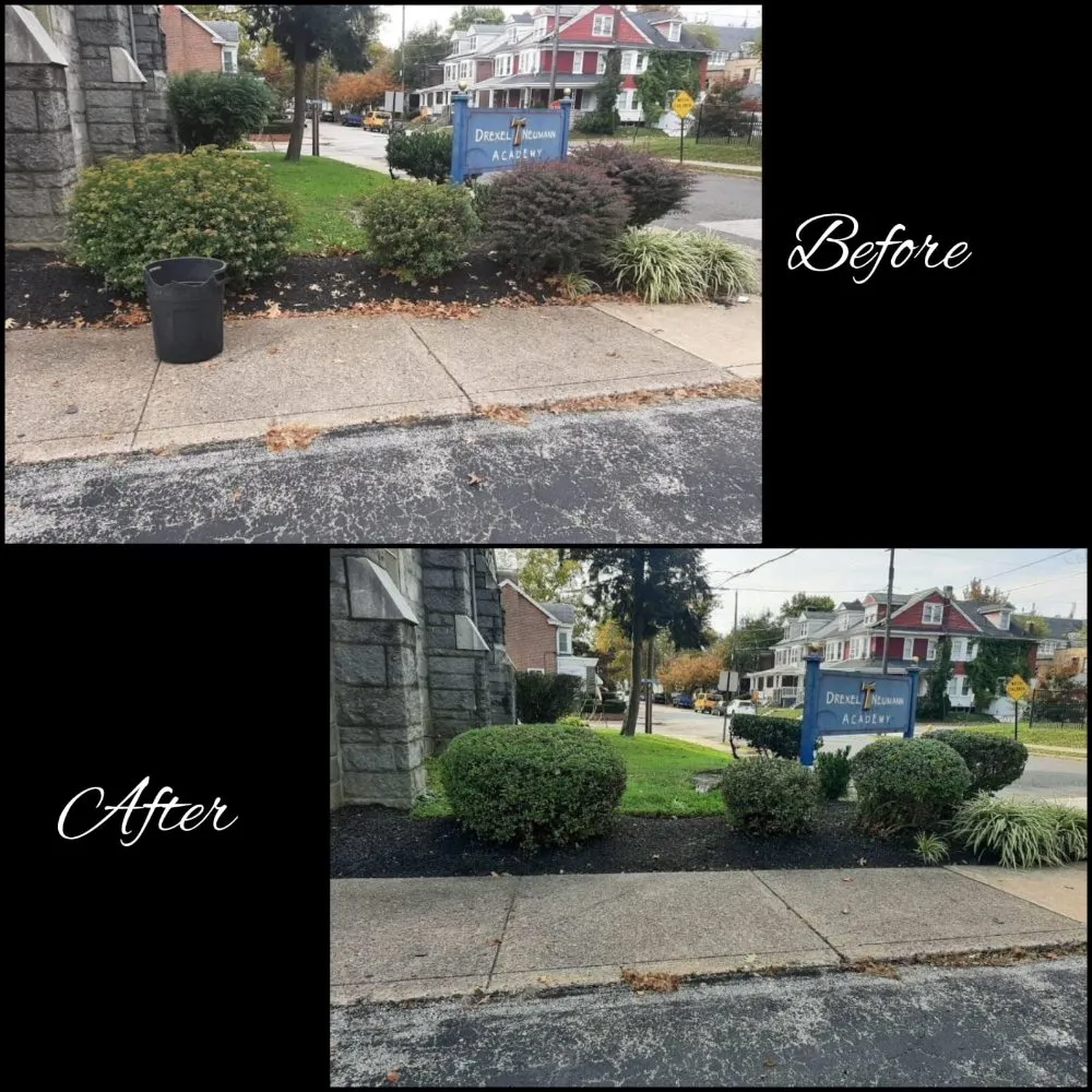 Expert landscaping services in Chester, PA - Dvel Landscaping