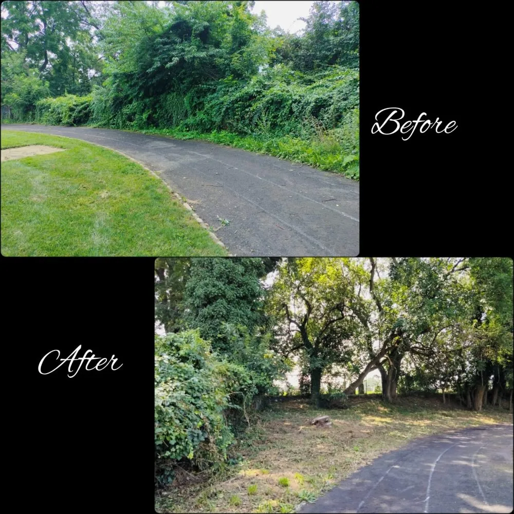 Expert outdoor landscaping in Chester, PA by Dvel Landscaping