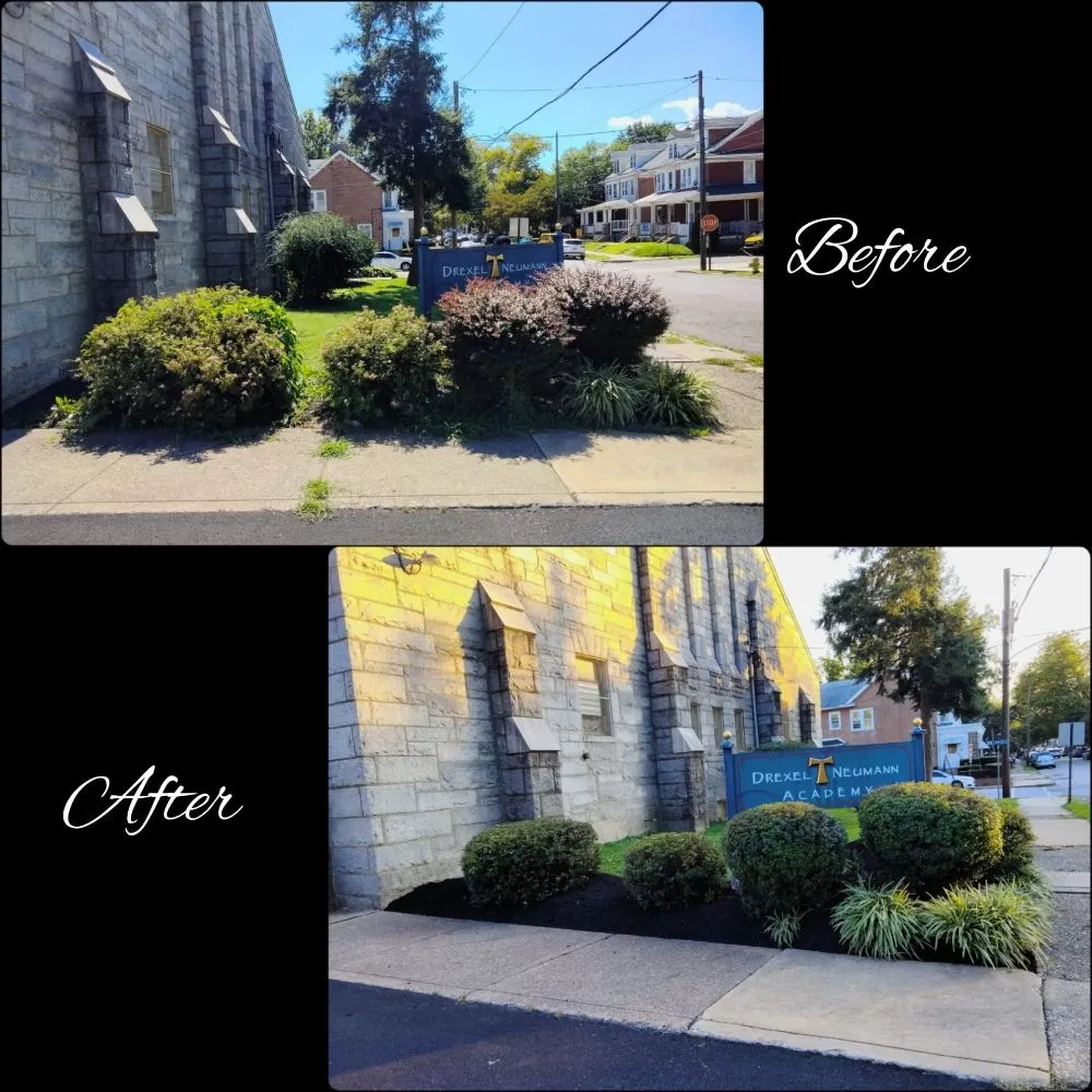 Reliable landscaping services in Chester, PA by Dvel Landscaping
