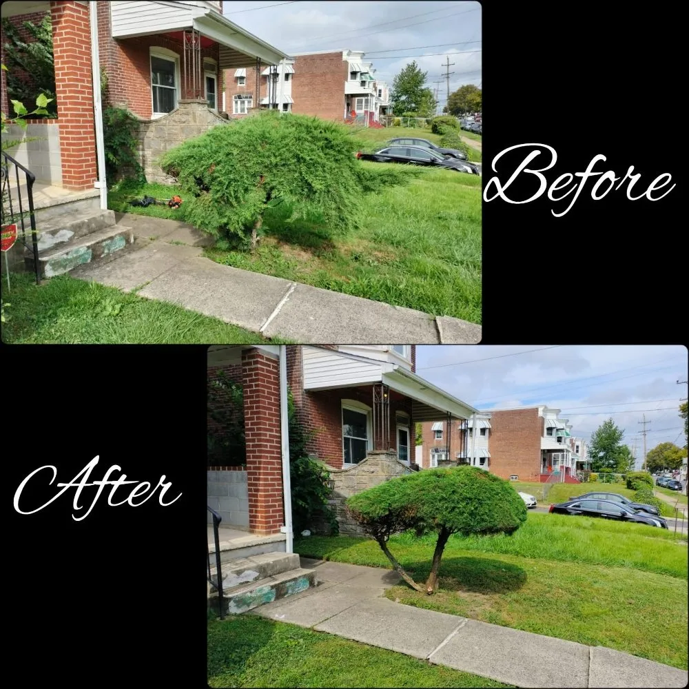 Trusted residential landscaping in Chester, PA by Dvel Landscaping