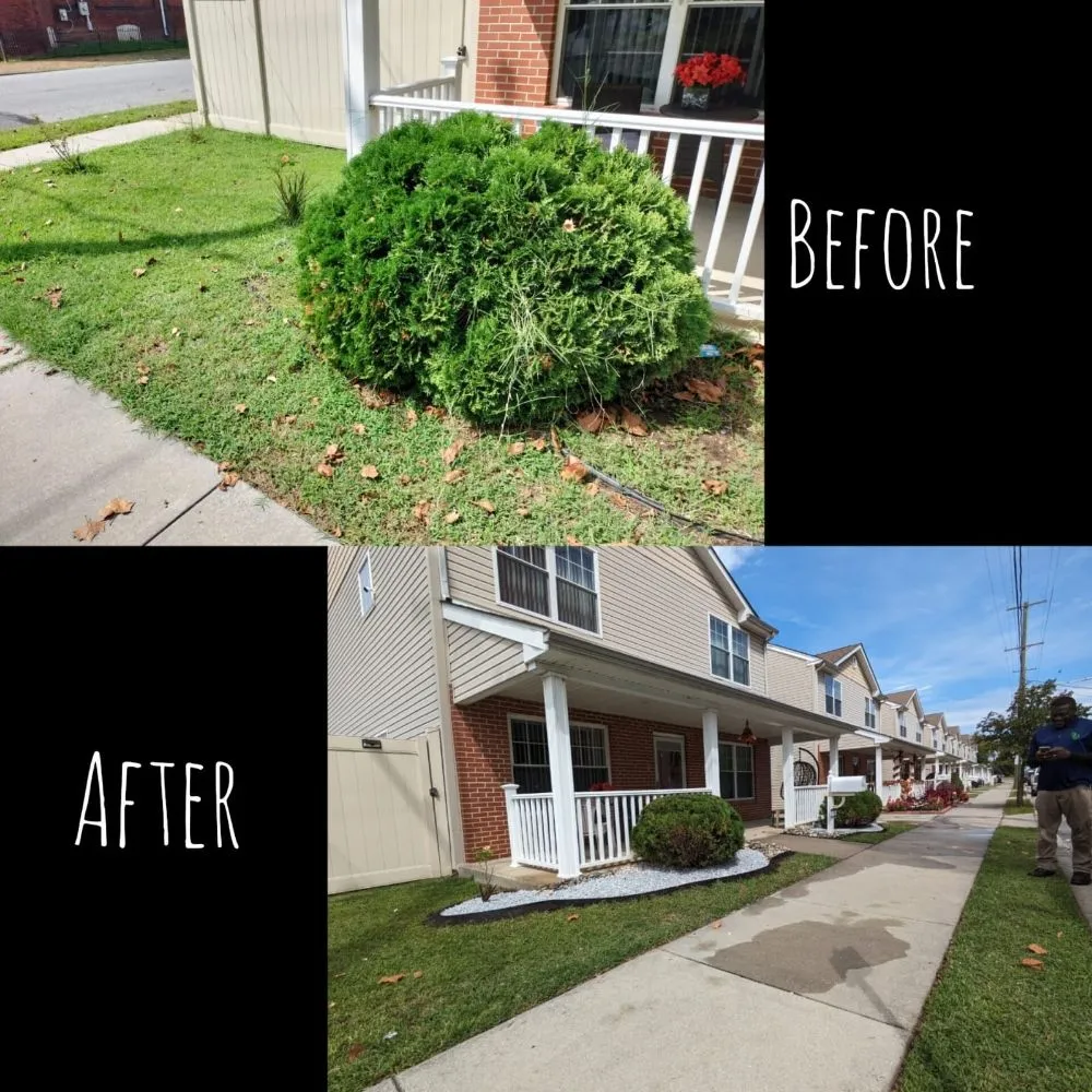 Trusted outdoor landscaping for beautiful yards in Chester, PA by Dvel Landscaping