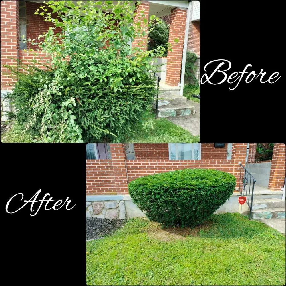 Trusted residential landscaping in Chester, PA - Dvel Landscaping