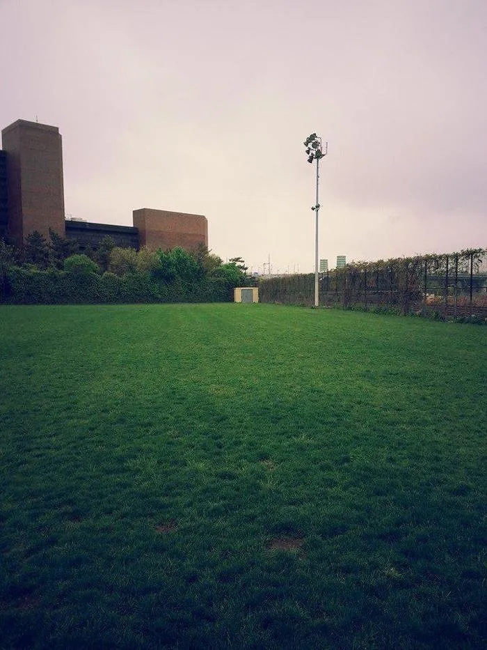 Trusted yard maintenance in Lewes, DE by DVH Turf Management