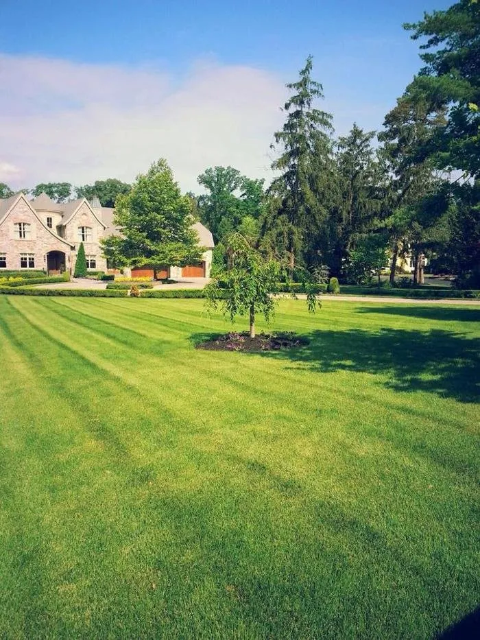 Local landscape design in Lewes, DE - DVH Turf Management