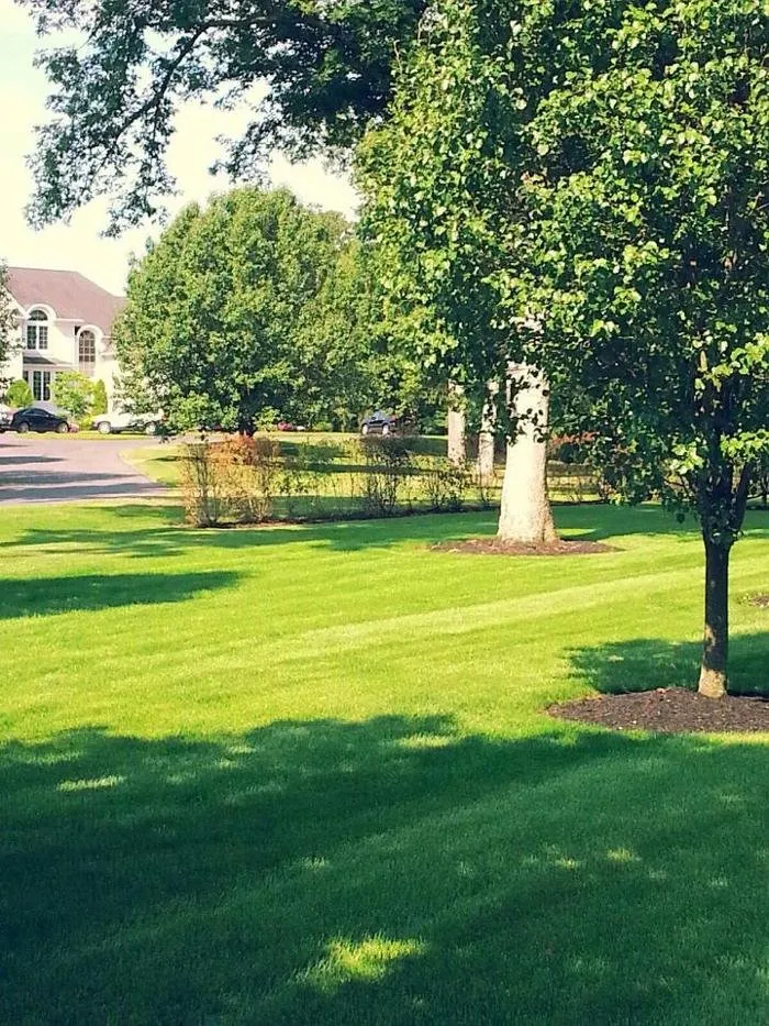 Expert landscaping services for year-round maintenance across Lewes, DE - DVH Turf Management