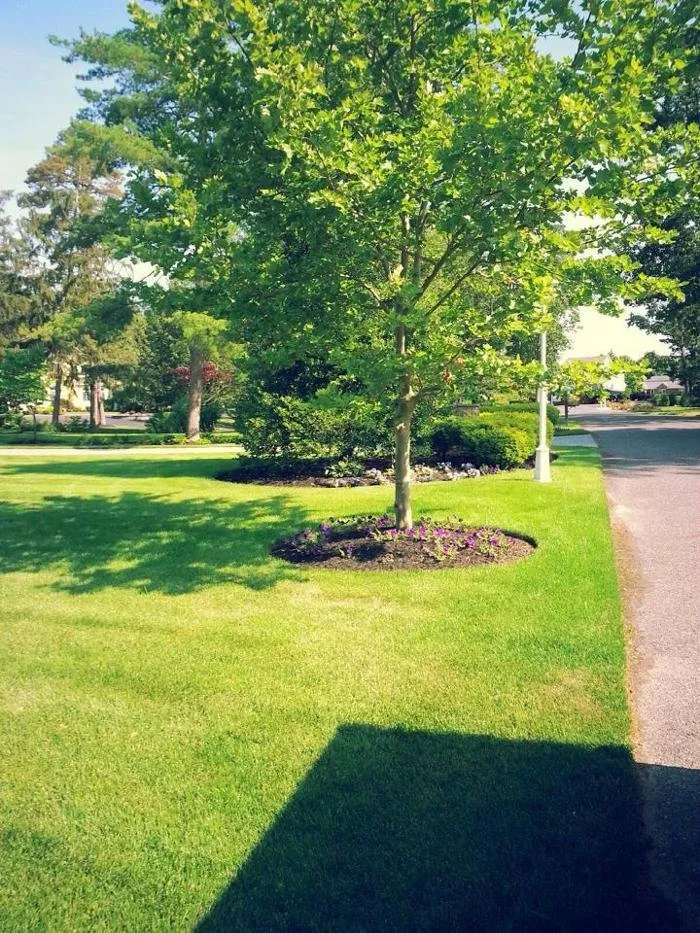 Local lawn care service in Lewes, DE by DVH Turf Management