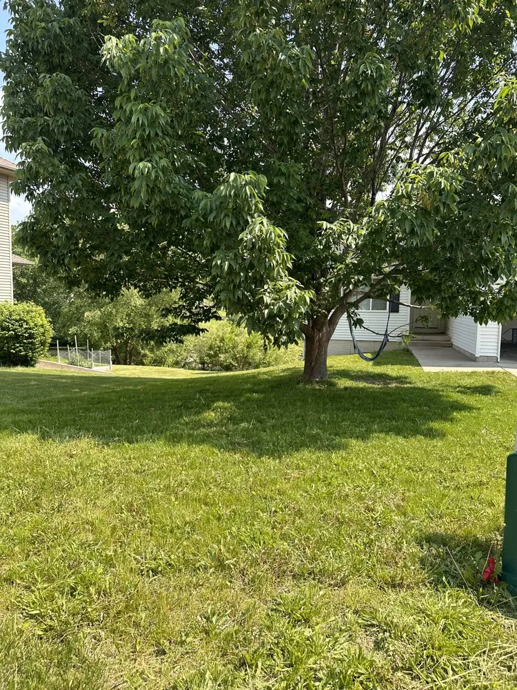 Expert yard cleanup service for residential properties in North Liberty, IA by D’Ville Lawn Care and Cleaning Services