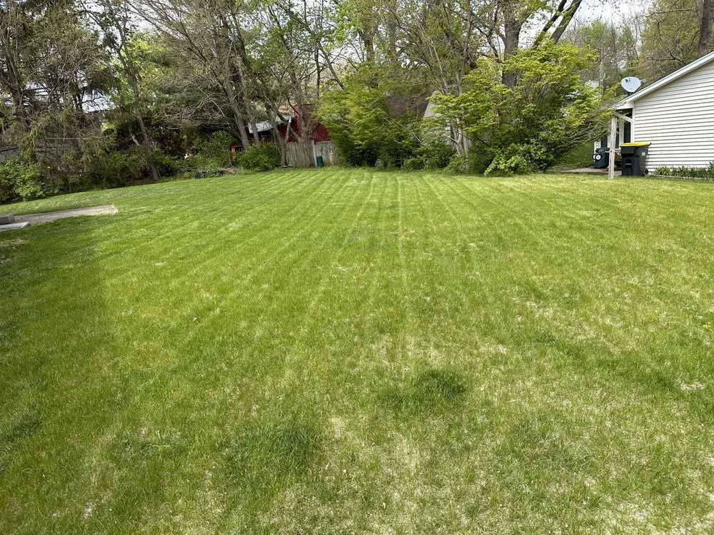 Expert lawn care service experts serving North Liberty, IA - D’Ville Lawn Care and Cleaning Services