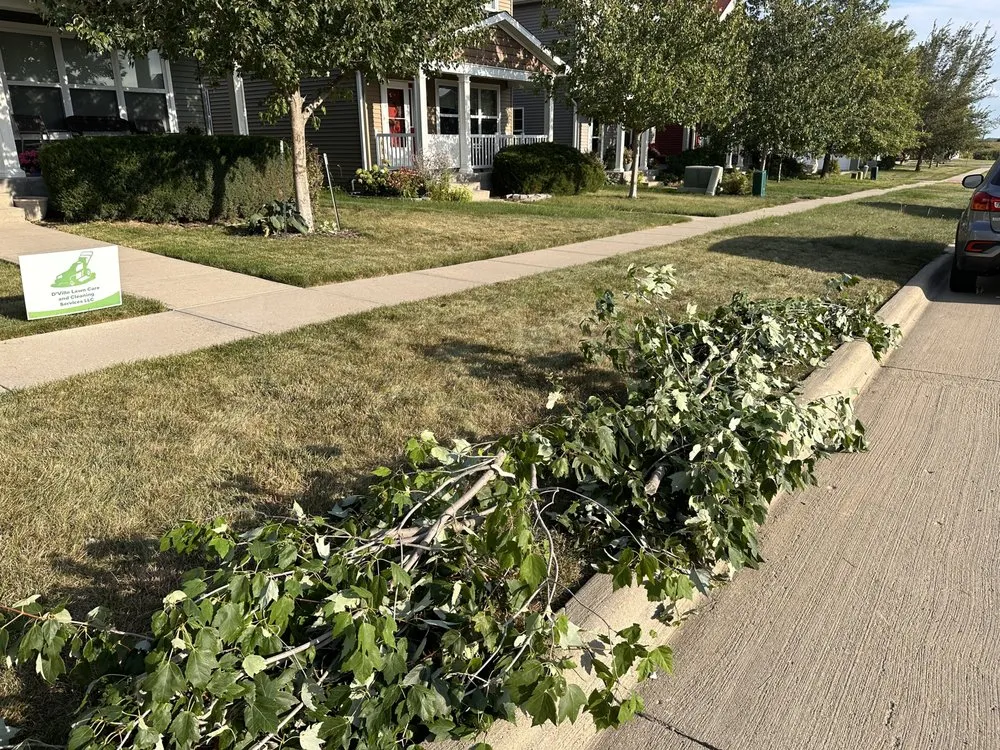 Trusted yard cleanup service experts serving North Liberty, IA - D’Ville Lawn Care and Cleaning Services