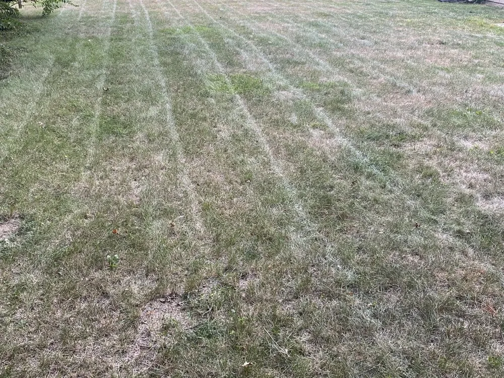 Reliable landscaping services for homes across North Liberty, IA - D’Ville Lawn Care and Cleaning Services