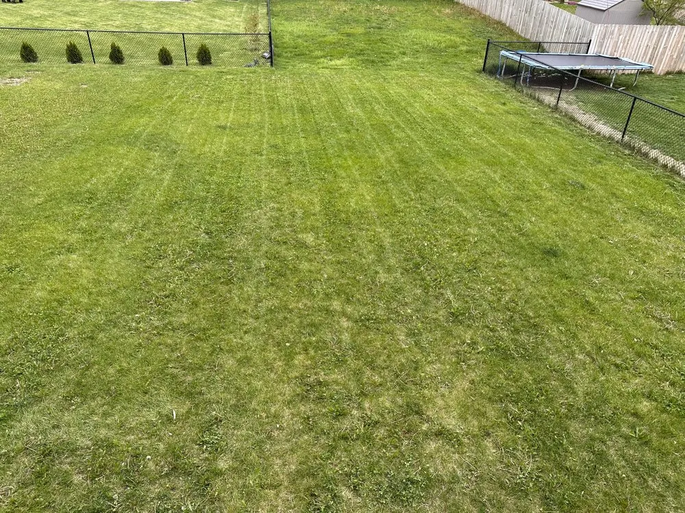 Trusted lawn care service in North Liberty, IA - D’Ville Lawn Care and Cleaning Services