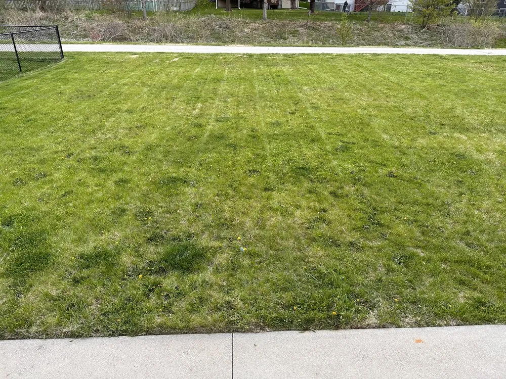 Top-rated yard cleanup service for residential properties across North Liberty, IA - D’Ville Lawn Care and Cleaning Services
