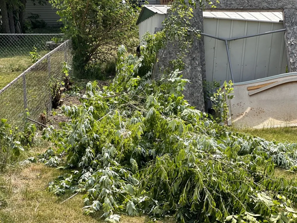 Affordable residential landscaping for residential properties across North Liberty, IA - D’Ville Lawn Care and Cleaning Services