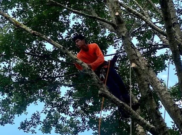 Custom lawn mowing service in Humble, TX - D'vine Landscape Design