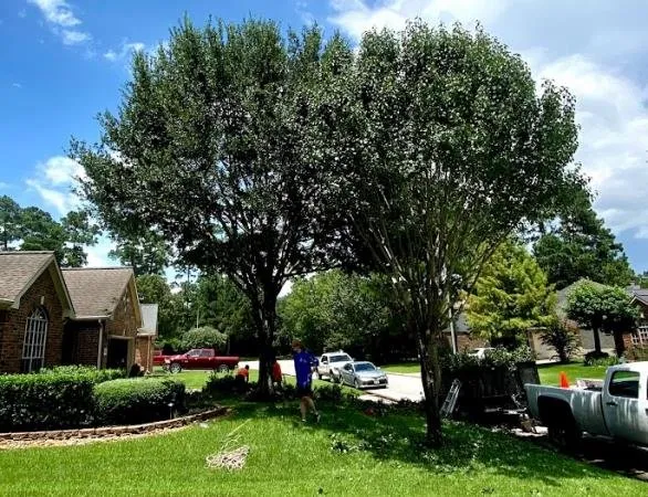 Custom residential landscaping in Humble, TX by D'vine Landscape Design