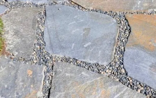 D'vine Landscape Design Logo