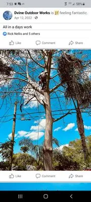 Dvine Outdoor Works Logo