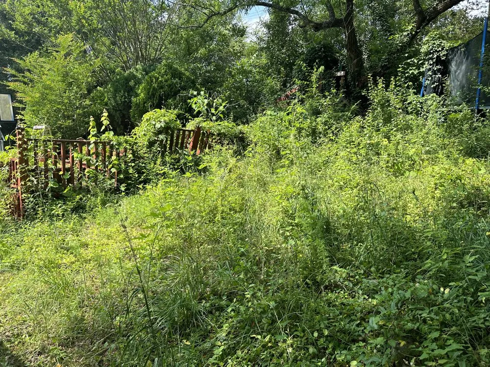 Reliable lawn mowing service in Roswell, GA - Dvjeen