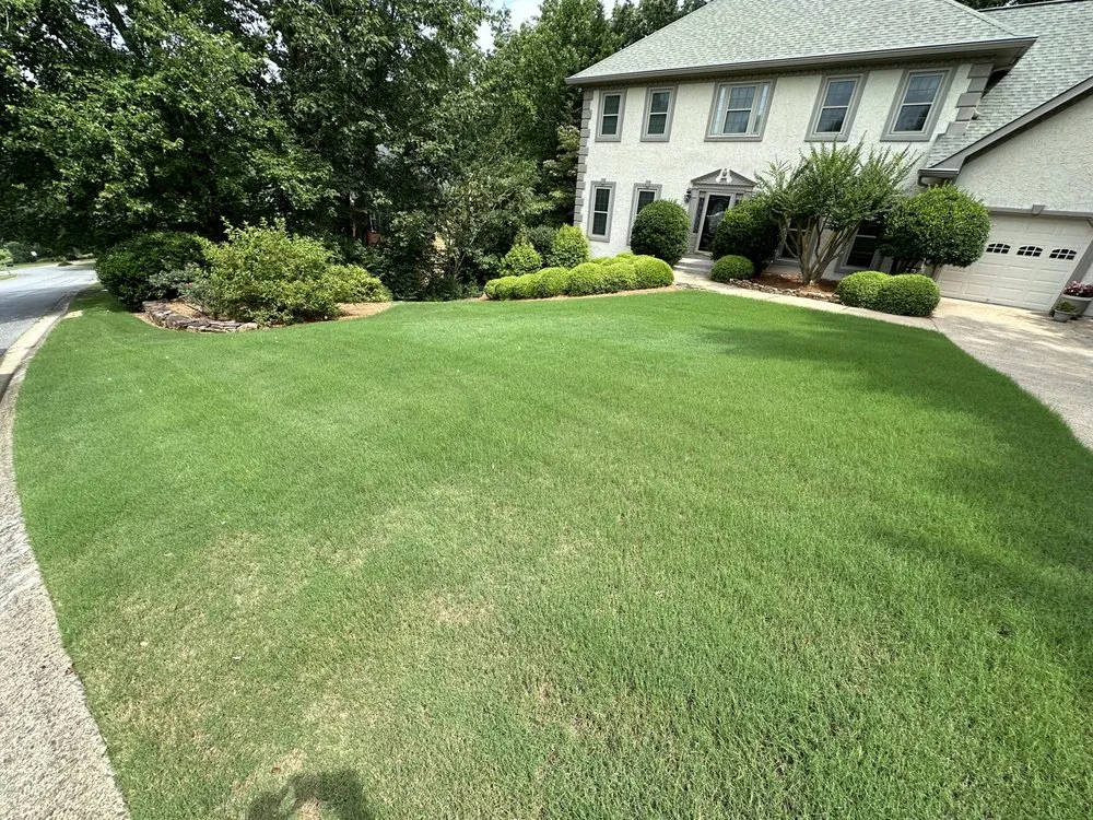 Custom yard cleanup service in Roswell, GA - Dvjeen