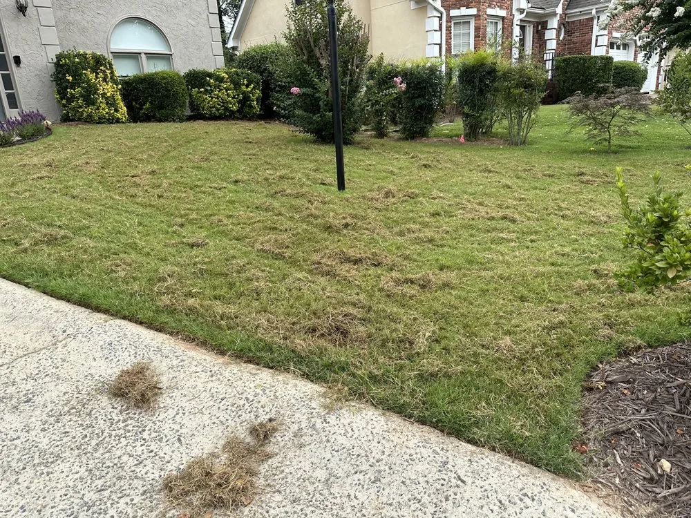 Reliable outdoor landscaping for outdoor upgrades across Roswell, GA - Dvjeen