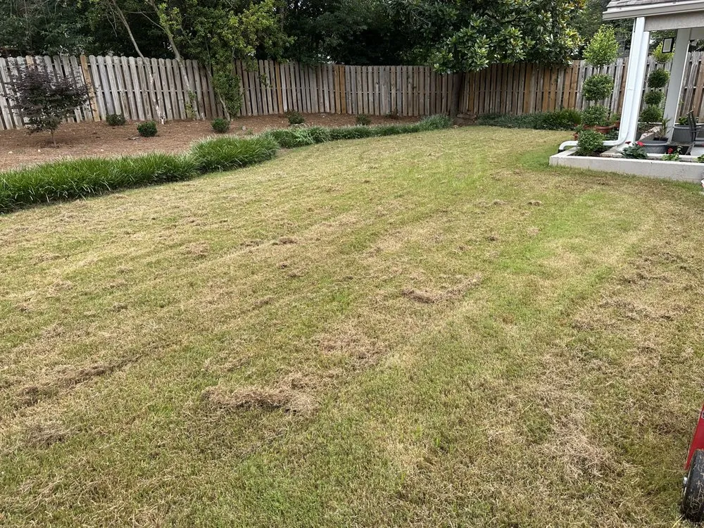 Expert residential landscaping for outdoor upgrades in Roswell, GA by Dvjeen