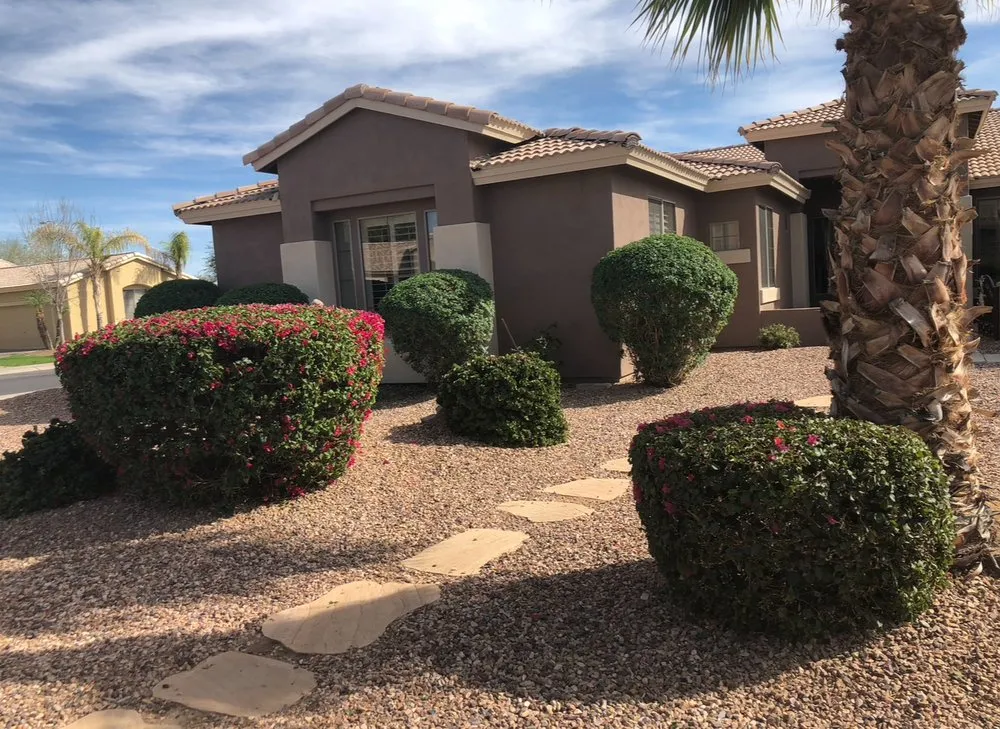Professional residential landscaping experts serving Surprise, AZ - DVM Landscaping