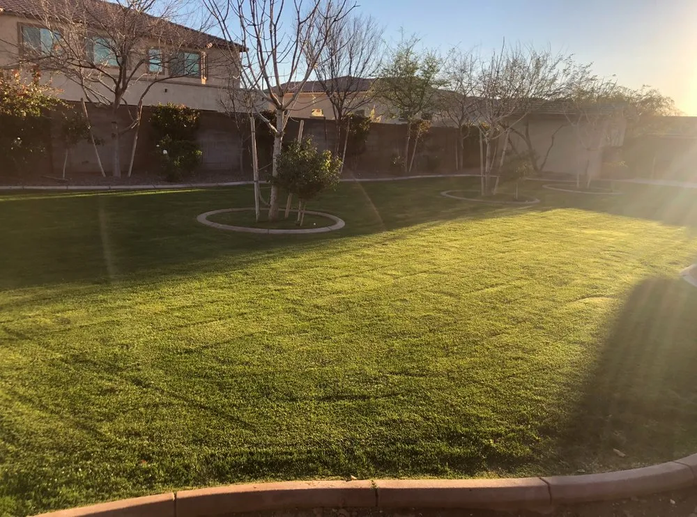 Top-rated landscaping services in Surprise, AZ - DVM Landscaping
